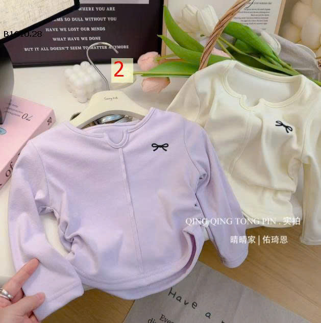 MẪU 2