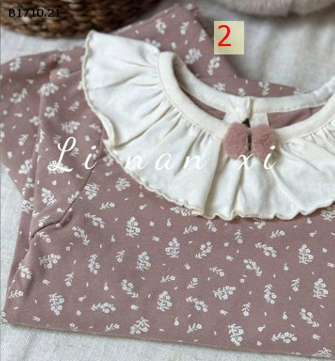 MẪU 2