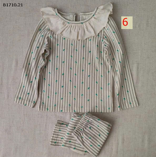 MẪU 6