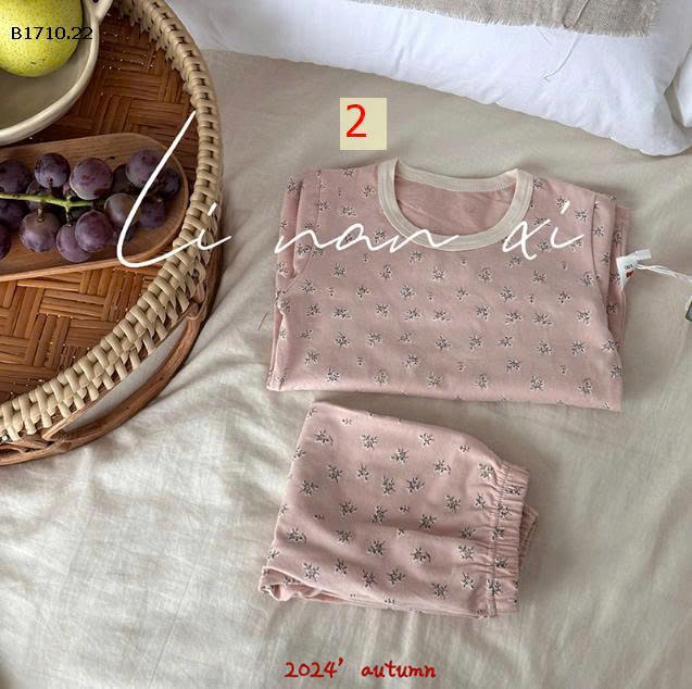 MẪU 2