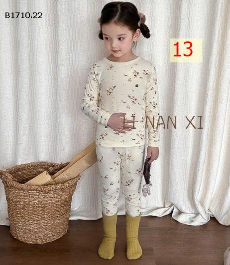 MẪU 13