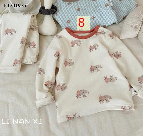 MẪU 8