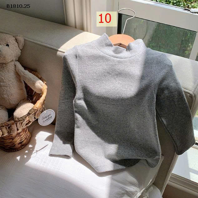 MẪU 10