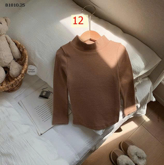 MẪU 12
