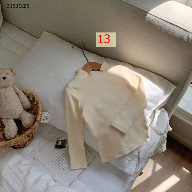 MẪU 13