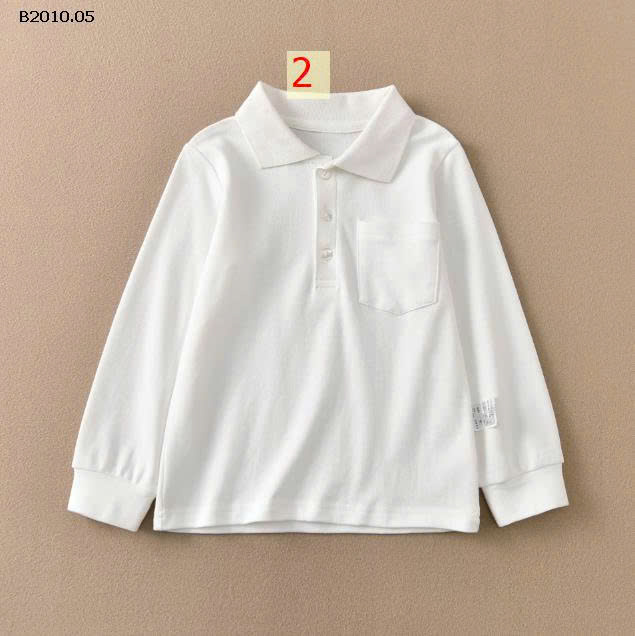 MẪU 2