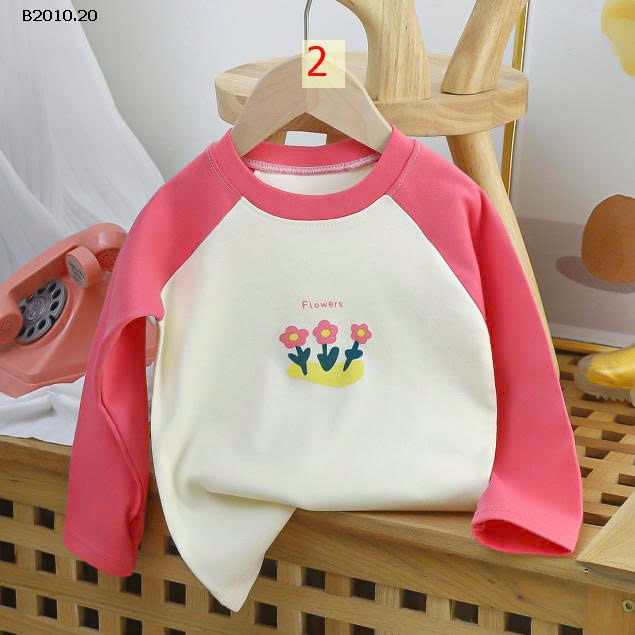 MẪU 2