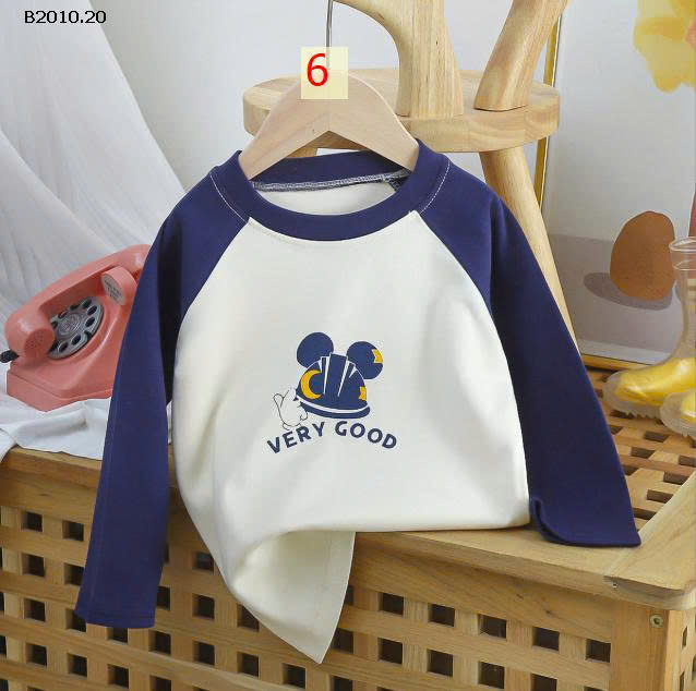 MẪU 6