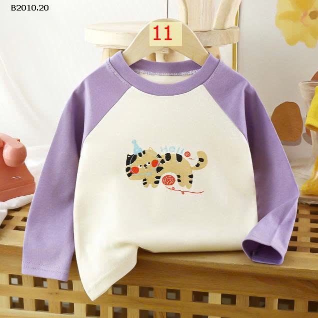 MẪU 11