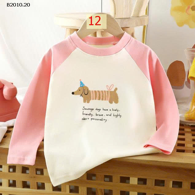 MẪU 12