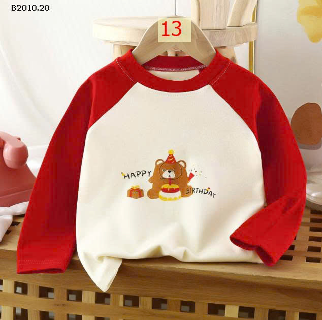 MẪU 13