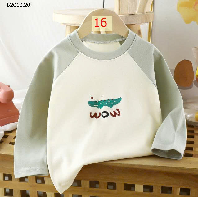 MẪU 16
