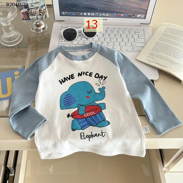 MẪU 13