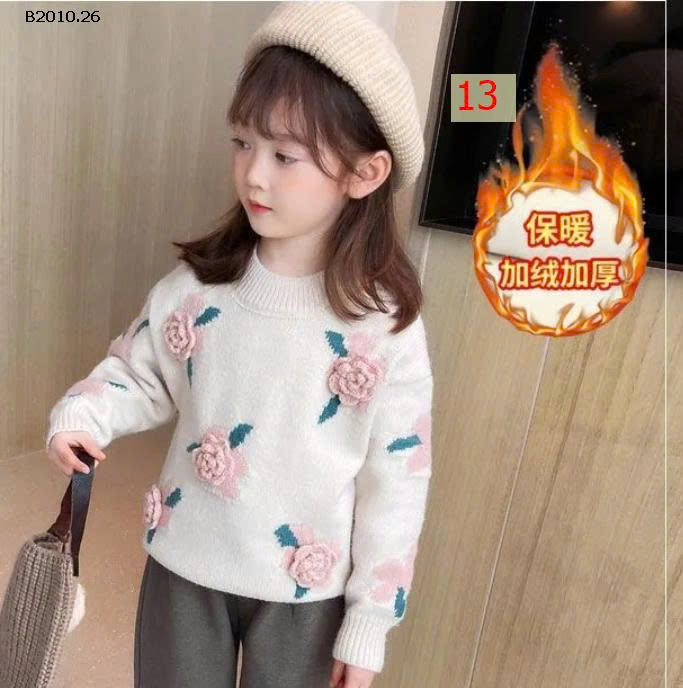 MẪU 13