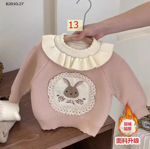 MẪU 13