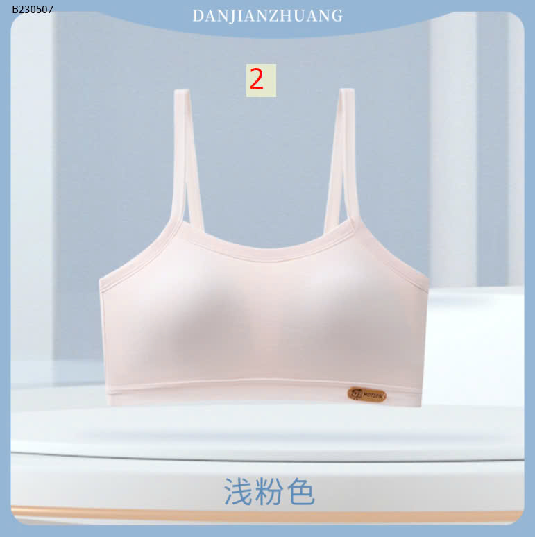 MẪU  2