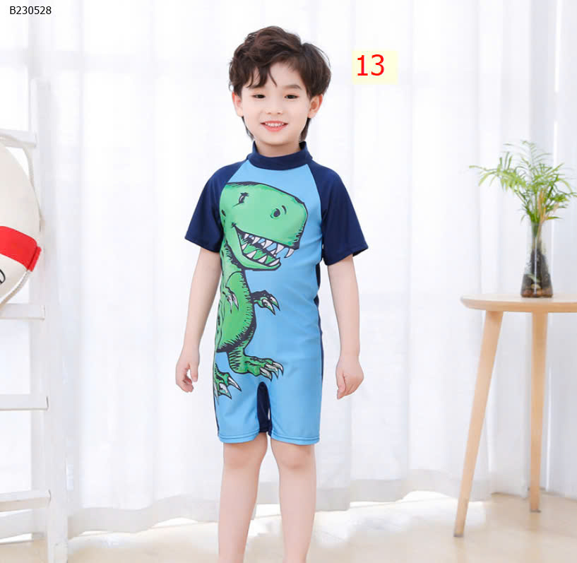 MẪU 13