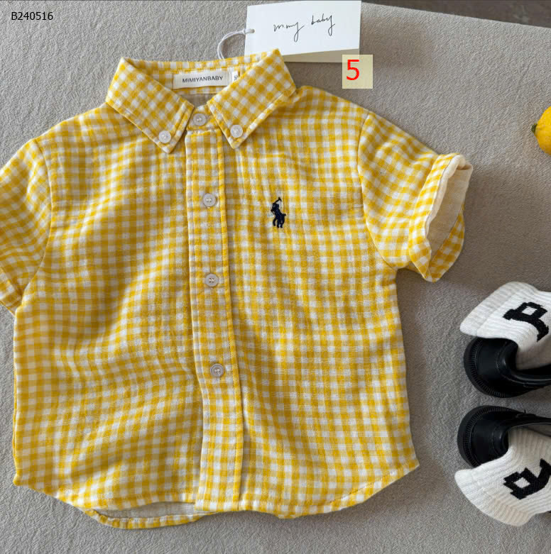 MẪU 5