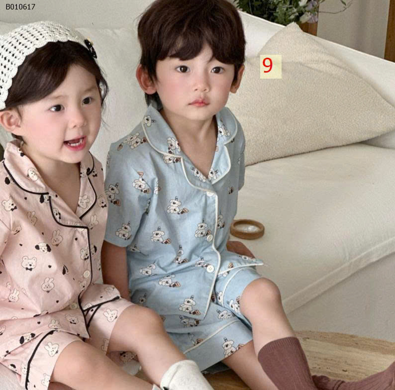MẪU 9