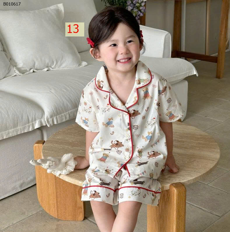 MẪU 13
