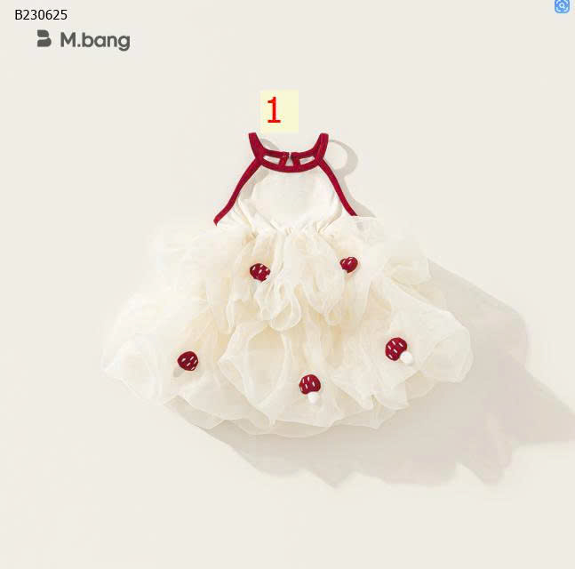 MẪU 1