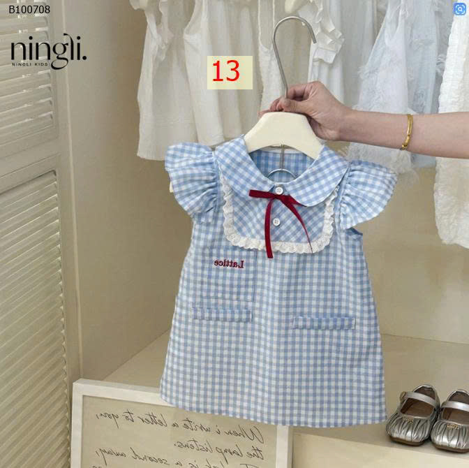 MẪU 13