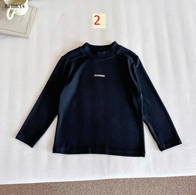 MẪU 2