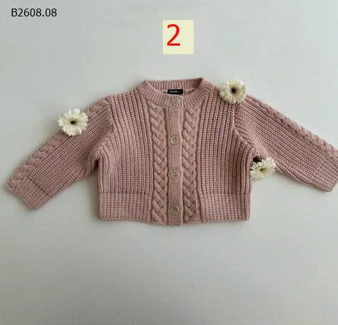 MẪU 2