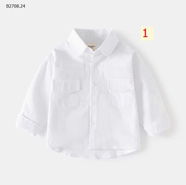 MẪU 1