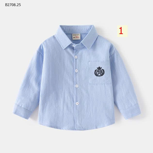MẪU 1
