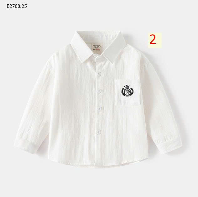 MẪU 2