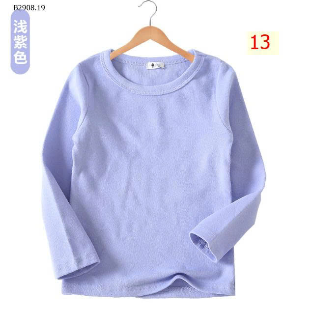 MẪU 13