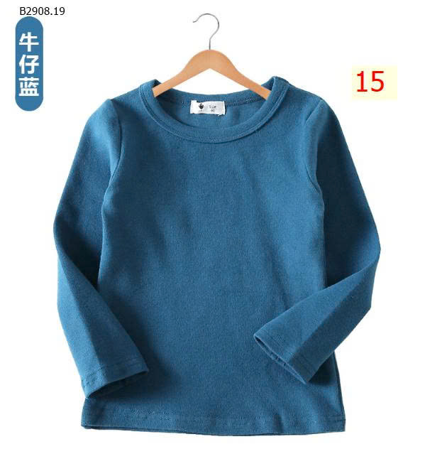 MẪU 15