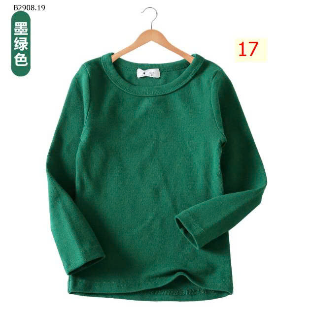 MẪU 17