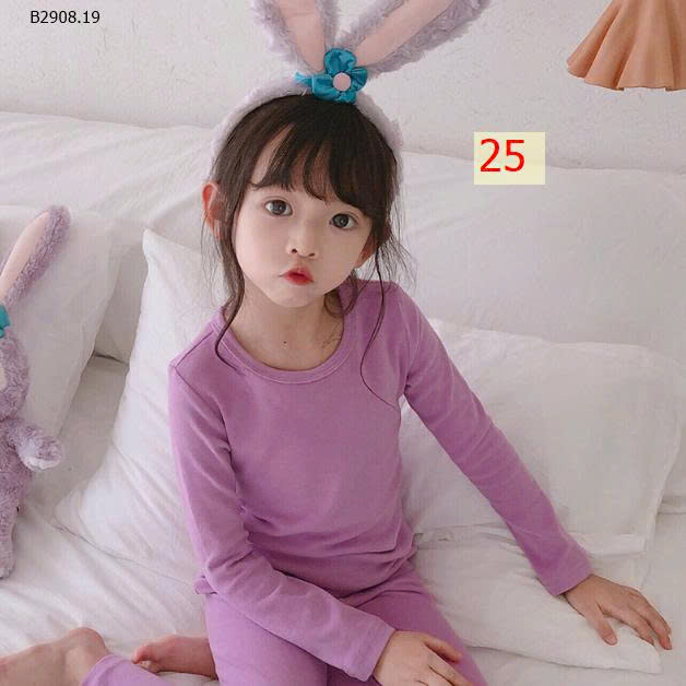 MẪU 25