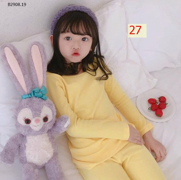 MẪU 27