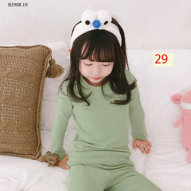 MẪU 29