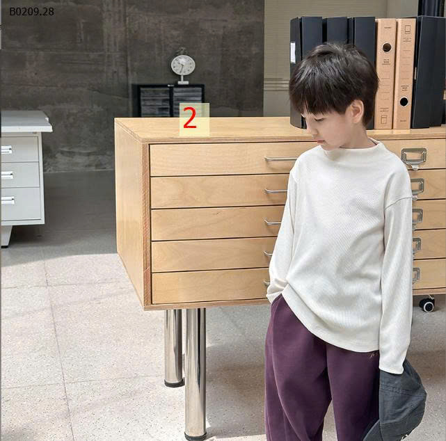 MẪU 2