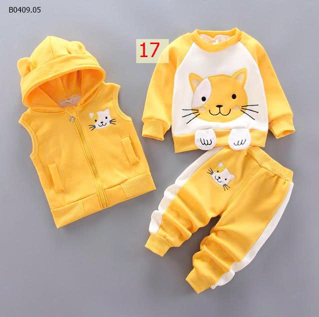 MẪU 17