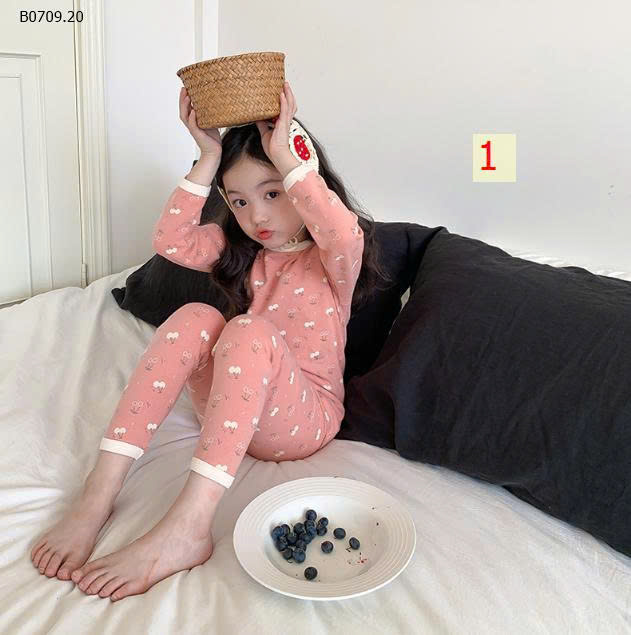 MẪU 1