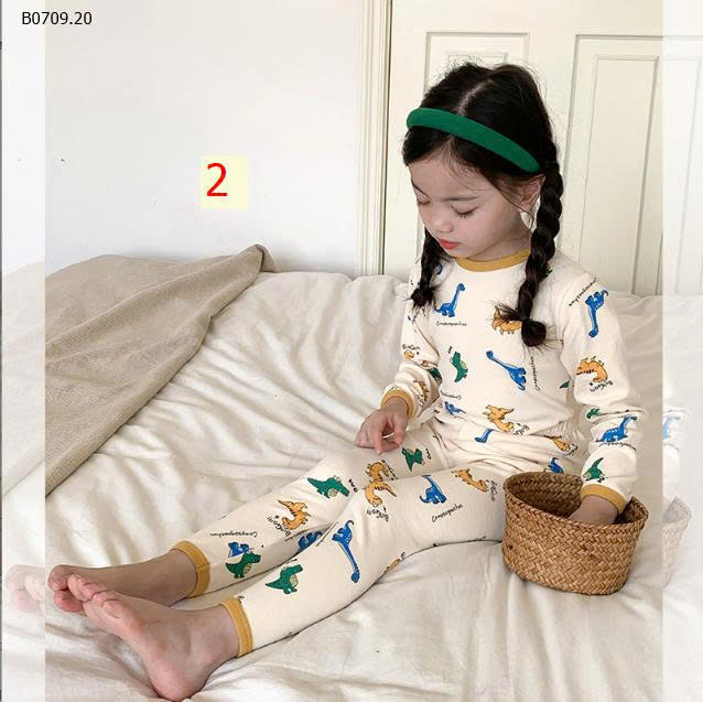 MẪU 2