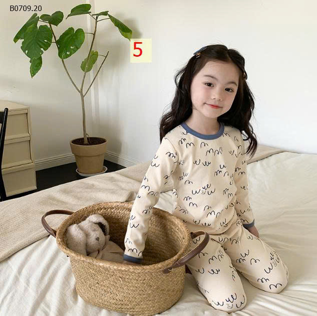 MẪU 5