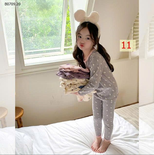 MẪU 11