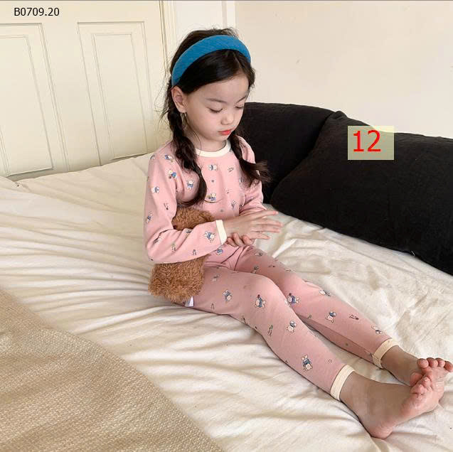 MẪU 12