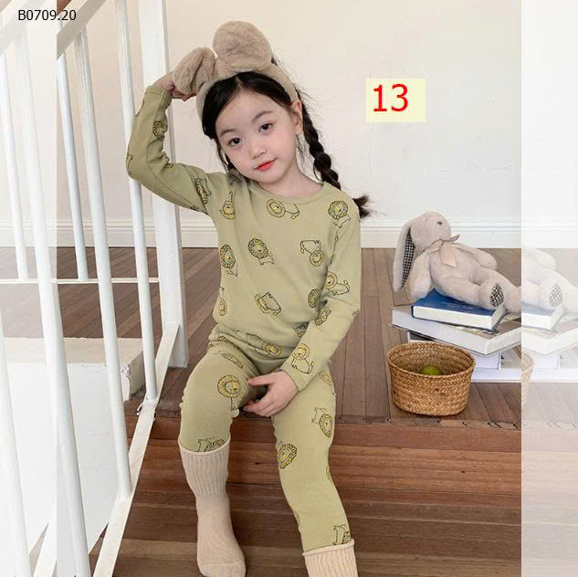 MẪU 13