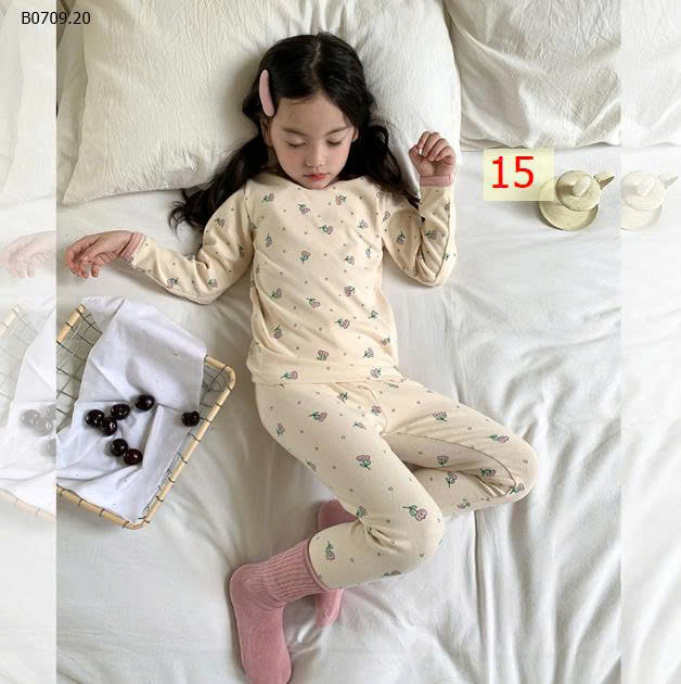 MẪU 15