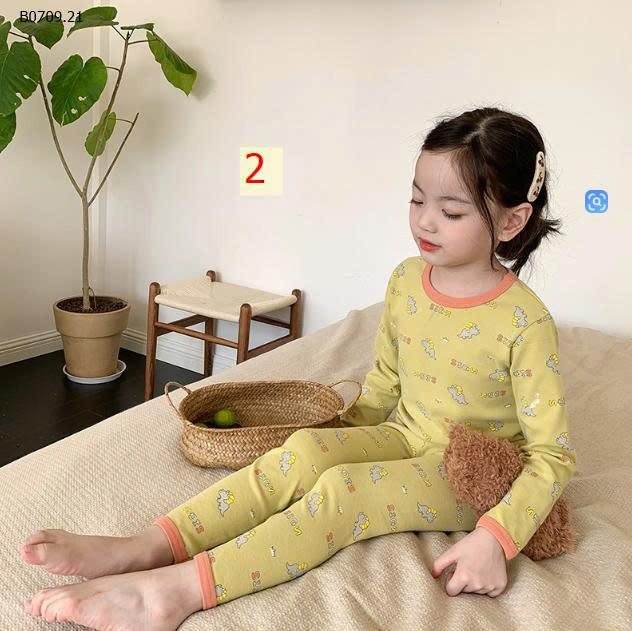 MẪU 2