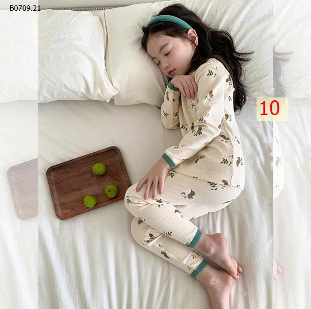 MẪU 10