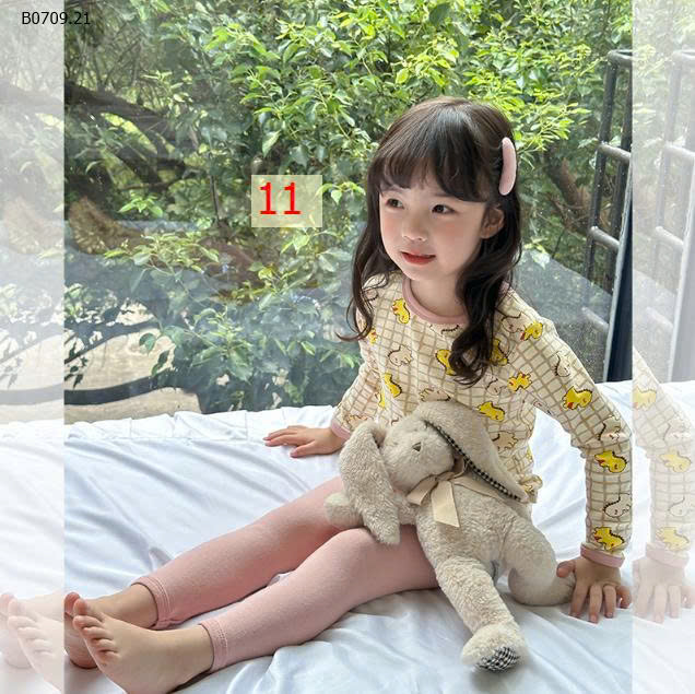 MẪU 11