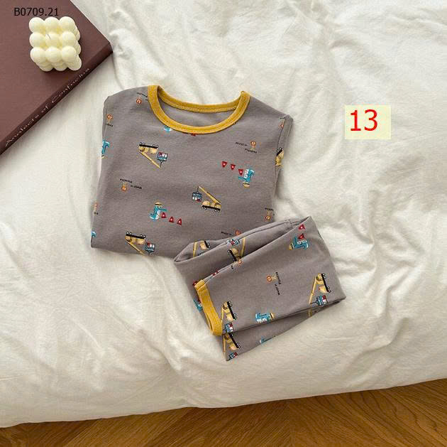 MẪU 13